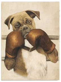 Obraz na płótnie Boxer, 30x40 cm