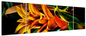 Obraz pomarańczowego kwiatu (170x50 cm)