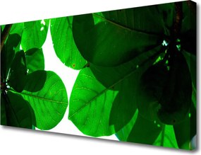 Obraz na płótnie Stylowy Motyw Liści