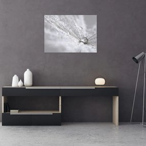 Obraz - Kropla wody (70x50 cm)