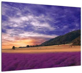 Obraz na szkle lawendowej łąki (70x50 cm)