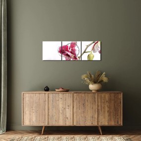 Obraz kwiatu orchidei (z zegarem) (90x30 cm)