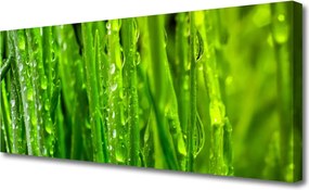 Obraz canvas Naturalna Tekstura Zielonej Trawy