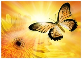 Obraz - Żółty motyl z kwiatkiem (70x50 cm)