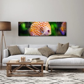 Obraz ryby (170x50 cm)