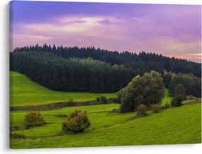 Obraz łąki (70x50 cm)