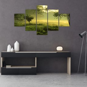 Obraz - Budzący się las (125x70 cm)