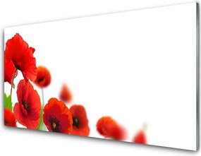 Panel Kuchenny Czerwone Maki W Słońcu