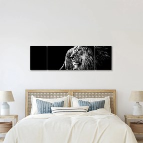 Obraz - Lew, czarno-biały (170x50 cm)