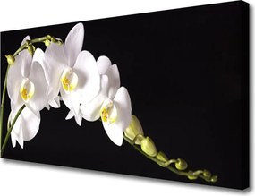 Obraz na płótnie Urokliwa Flora Ogrodowa