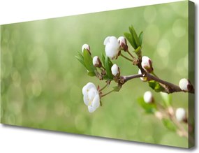 Zdjęcie na płótnie Świeżość Polnych Kwiatów