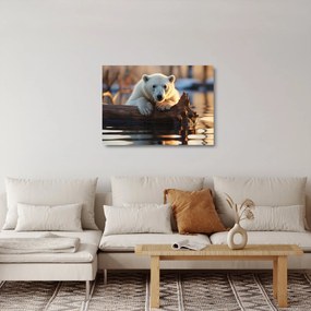 Obraz na szkle - Niedźwiedź polarny (70x50 cm)