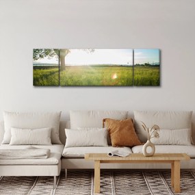 Obraz drzewa na polu (170x50 cm)