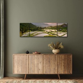 Obraz - Tarasy ryżowe (170x50 cm)