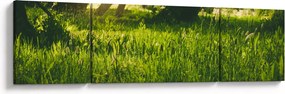 Obraz natury - łąka (170x50 cm)