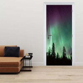 Fototapeta na drzwi - Zorza polarna (95x205cm)