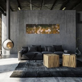 Obraz - Łąka z trawą bawełnianą N⁰2 (170x50 cm)
