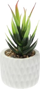 Dekoracja Sansevieria 12cm