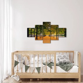 Obraz alei jesiennych drzew (125x70 cm)
