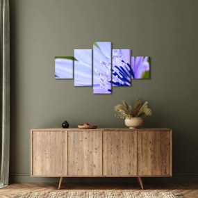 Obraz - Kwiat (125x70 cm)