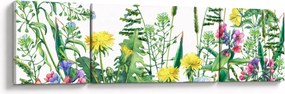 Obraz - Malowane kwiaty łąkowe (170x50 cm)