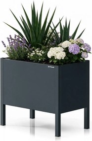 Metalowa donica ogrodowa - osłona Daisy mała, 40 × 25 × 35 cm, antracyt