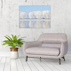 Obraz zimowego krajobrazu (70x50 cm)