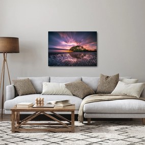 Obraz drzewa na plaży (70x50 cm)