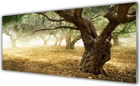 Panel nad blat kuchenny Samotne Drzewo Na Polanie