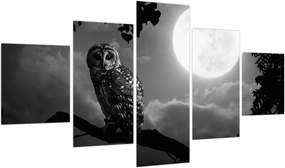 Obraz - Nocna sowa, czarno-biały (125x70 cm)