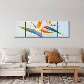 Obraz kwiatu Strelicji (170x50 cm)