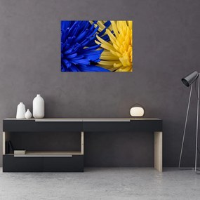 Obraz - szczegóły kwiatów (70x50 cm)