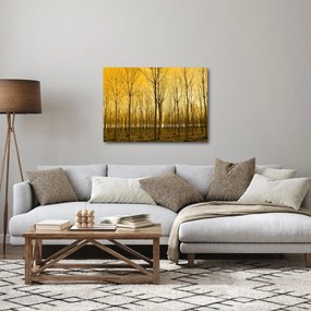 Obraz - Plantacja drzew (70x50 cm)