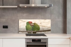 Panel szklany do Kuchni Stado Zielonych Papug