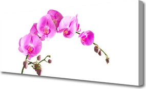 Obraz canvas Wyrafinowany Ogród Botaniczny