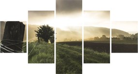 Obraz łąki (125x70 cm)