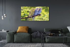 Zdjęcie na płótnie Papugi na Tropikalnej Gałęzi