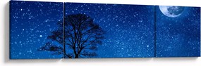 Obraz wilka wyjącego do księżyca (170x50 cm)