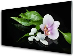 Szkło do Kuchni na Ścianę Kompozycja Spa I Natury