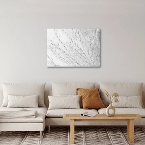 Obraz - Trawa pampasowa N⁰2 (70x50 cm)