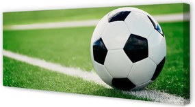 Zdjęcie na płótnie Detal Piłki Na Trawie