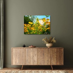 Obraz na szkle żółtych kwiatów (70x50 cm)