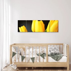 Obraz tulipanów (170x50 cm)