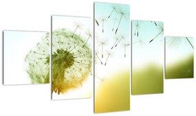 Obraz - Dmuchawiec na wietrze (125x70 cm)