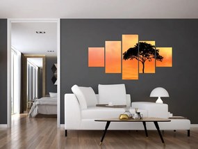 Obraz drzewa o zachodzie słońca (125x70 cm)