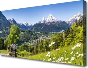 Obraz na płótnie Pola u Podnóża Majestatycznych Gór