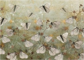 Obraz na szkle - Vintage motyle (70x50 cm)