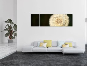 Obraz szarego dmuchawca (170x50 cm)