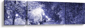 Obraz - Magiczna zimowa noc (170x50 cm)