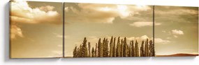 Obraz leśnej łąki (170x50 cm)